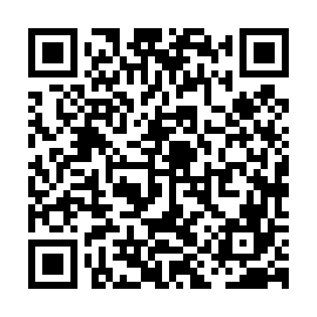 QR code for PIX466