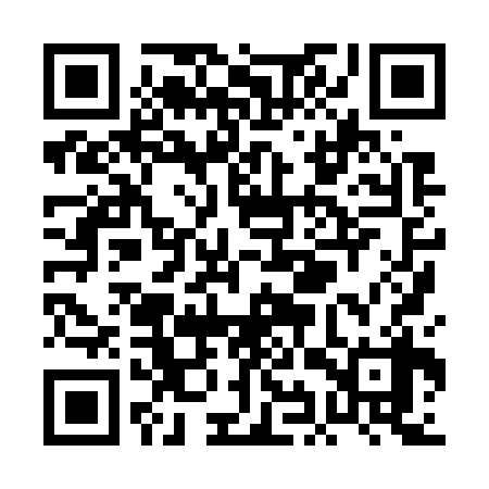 QR code for PIX738