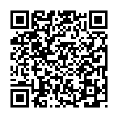 QR code for PJ95294