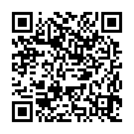 QR code for PKB383