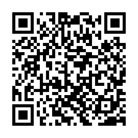 QR code for PKN291