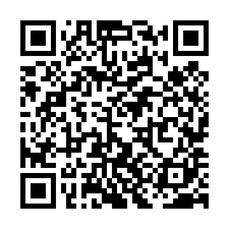 QR code for PKN481