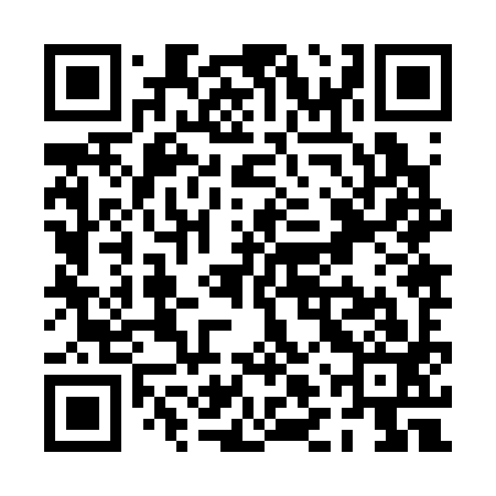 QR code for PLZ393