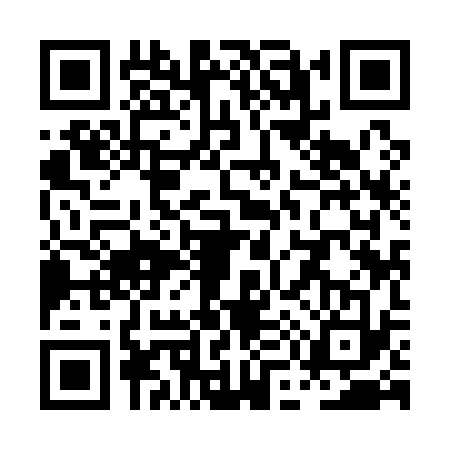 QR code for PM91334