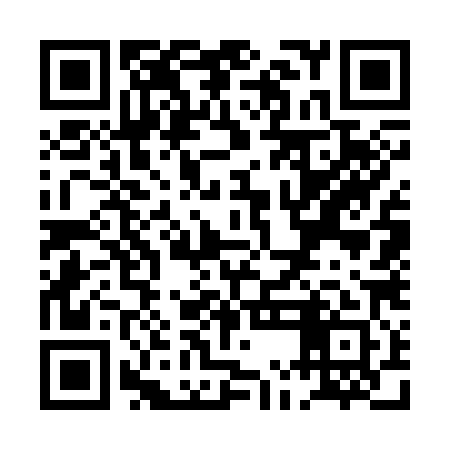 QR code for PMG381
