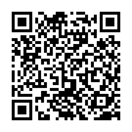 QR code for PMI228
