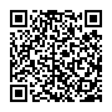 QR code for PN0638