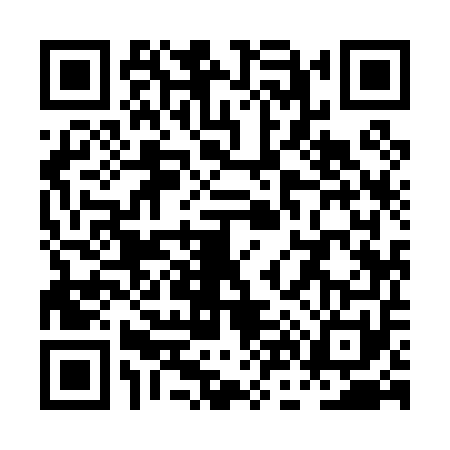 QR code for PN90510