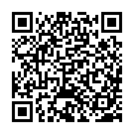 QR code for PNH380