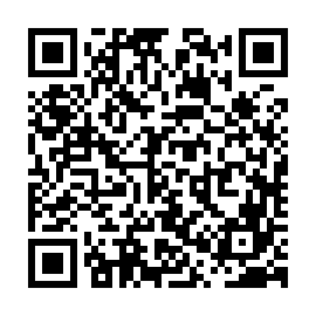 QR code for PP2966
