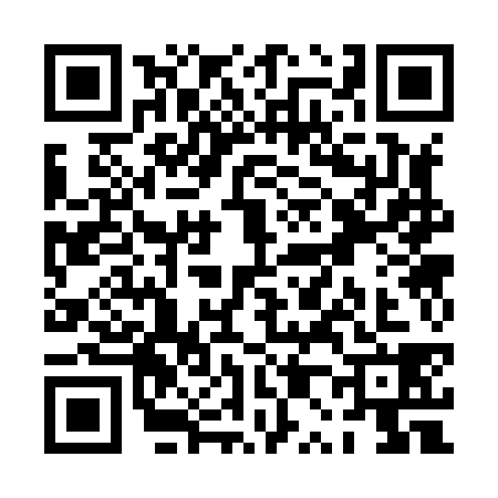QR code for PP38385