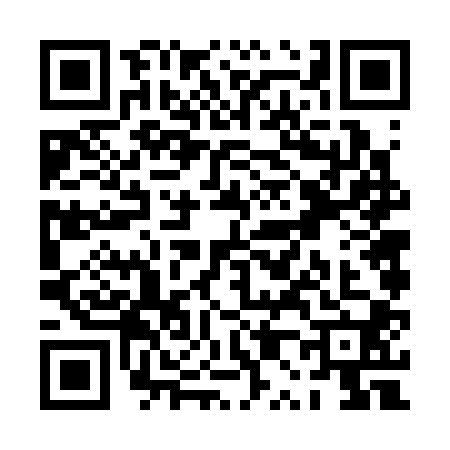 QR code for PP63007