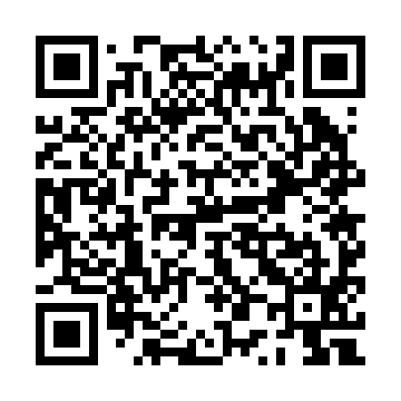 QR code for PP7295