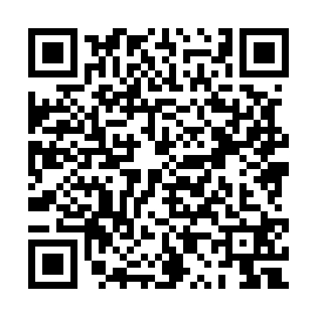 QR code for PP85206