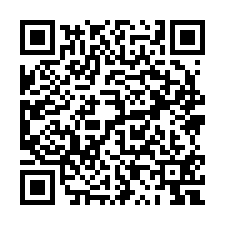 QR code for PP92110