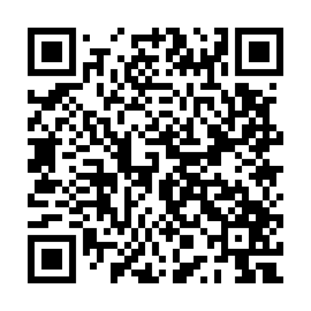 QR code for PPA547