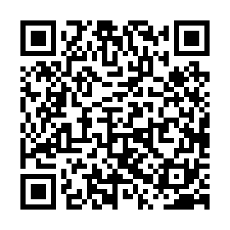 QR code for PPP271