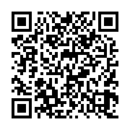 QR code for PPT869