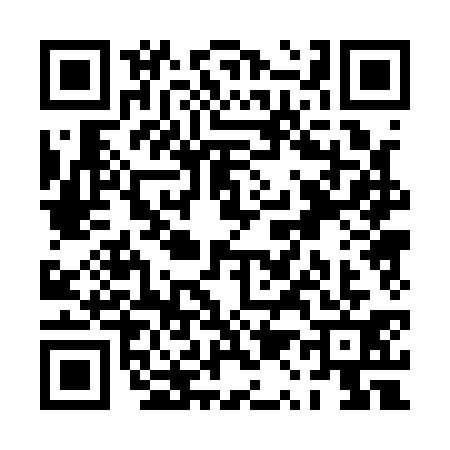 QR code for PQ01313