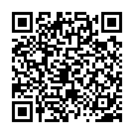 QR code for PQ17317
