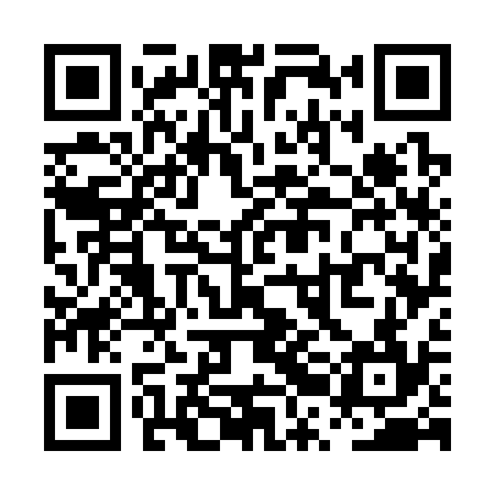 QR code for PRG334
