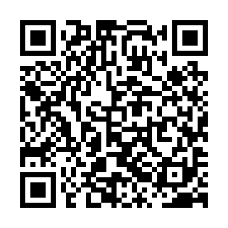 QR code for PRM291
