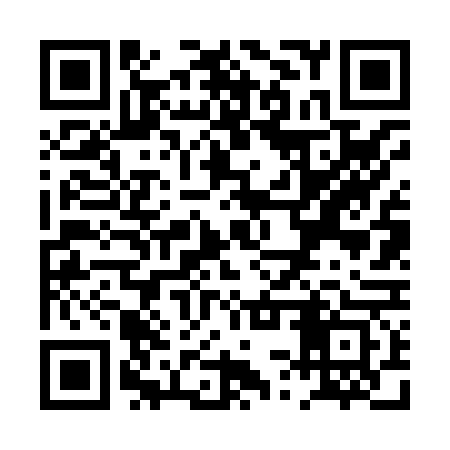QR code for PSV863