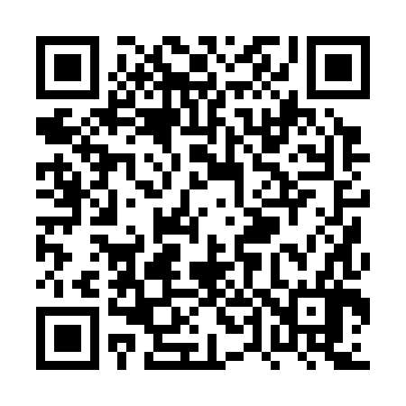 QR code for PT0386