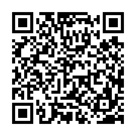 QR code for PT0636