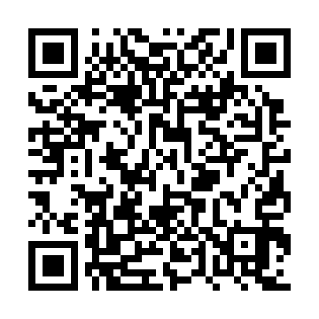 QR code for PT3313