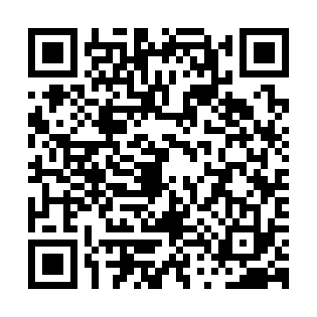 QR code for PT33336