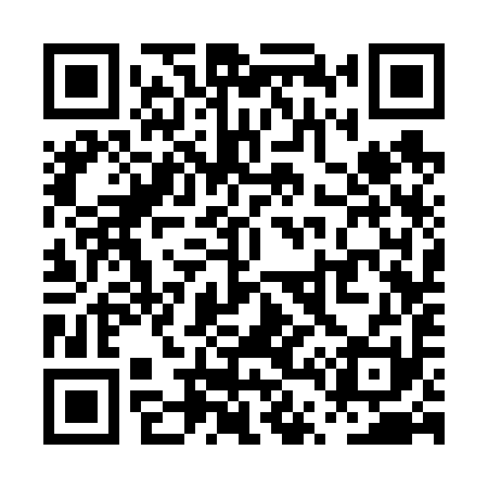 QR code for PT3691