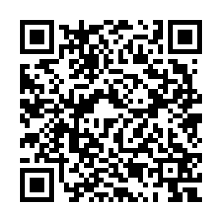 QR code for PU06233