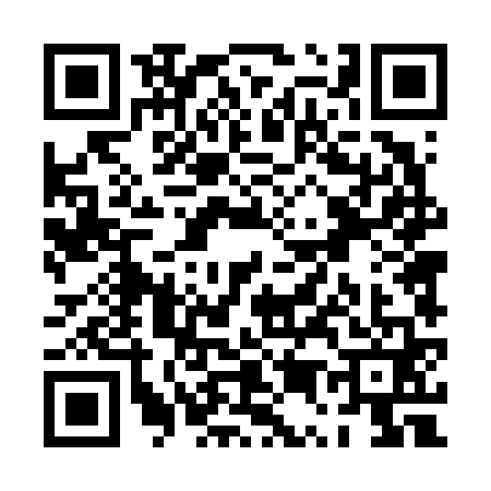 QR code for PU46616