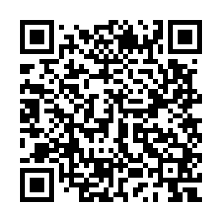 QR code for PUB540