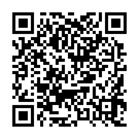 QR code for PUI398