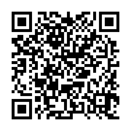 QR code for PUL384