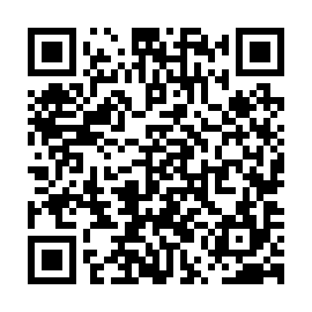 QR code for PUN294