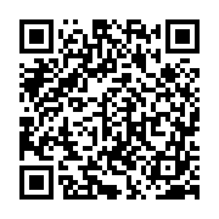 QR code for PUN863