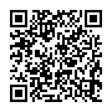 QR code for PUS573