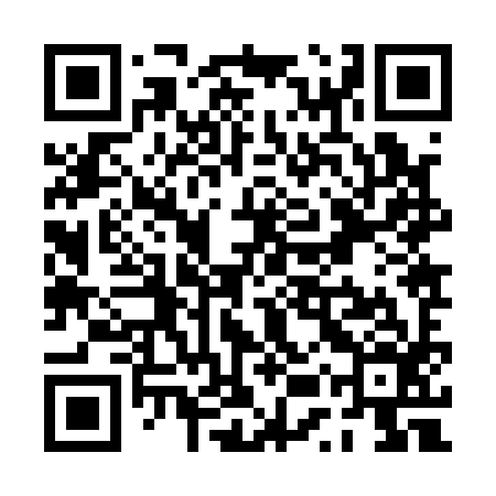 QR code for PUZ196