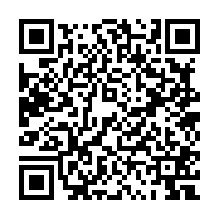 QR code for PV38013