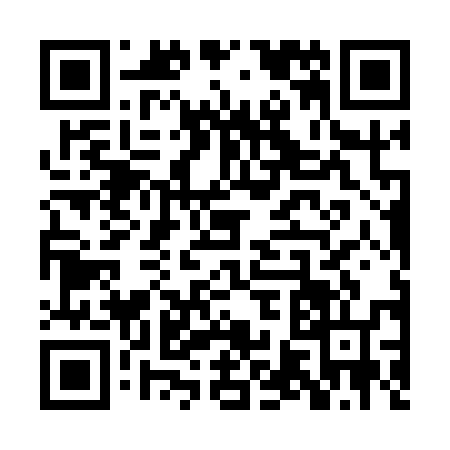 QR code for PV41565