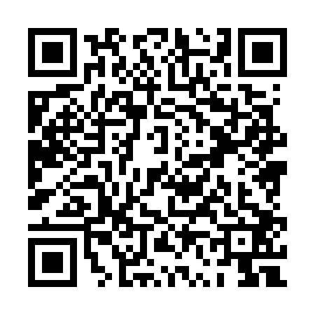 QR code for PV87029