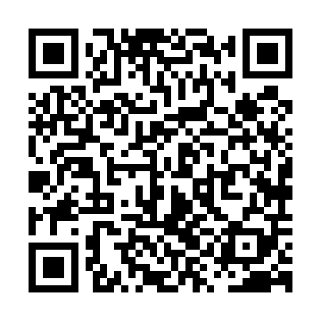 QR code for PYH509