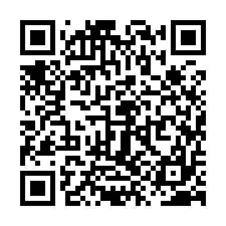 QR code for PYI917