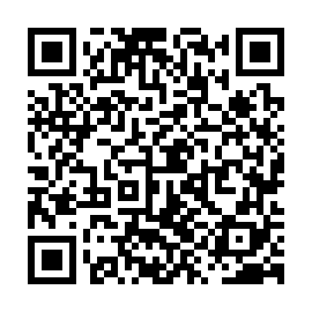 QR code for PYN368