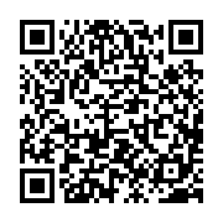 QR code for PZ0295
