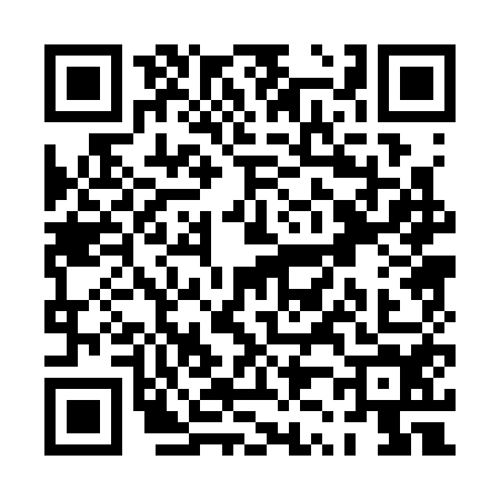 QR code for PZ03541