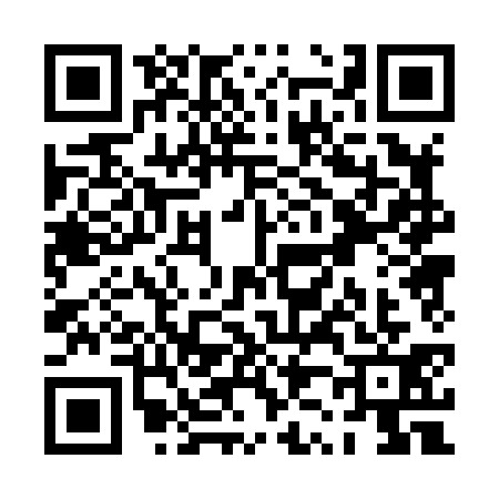 QR code for PZ08313